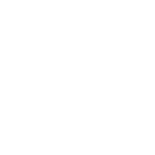 Shredders Planet